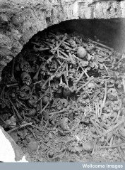 Nothing to worry about.