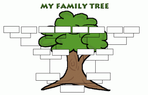 My family tree