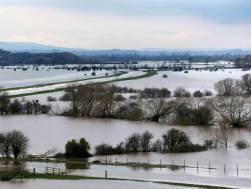 Somerset Levels, 2014