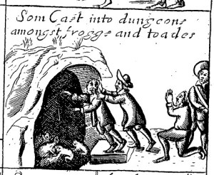 page 220 frogs and toads