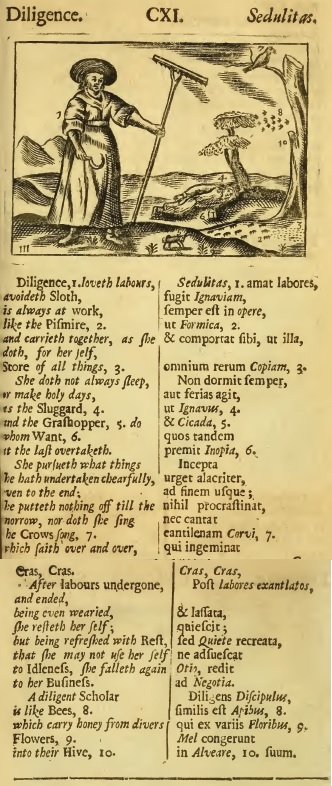 Diligence - woman working, text