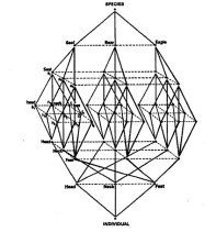 Er, a structure (by  Claude- Levi-Strauss: an actual theorist)