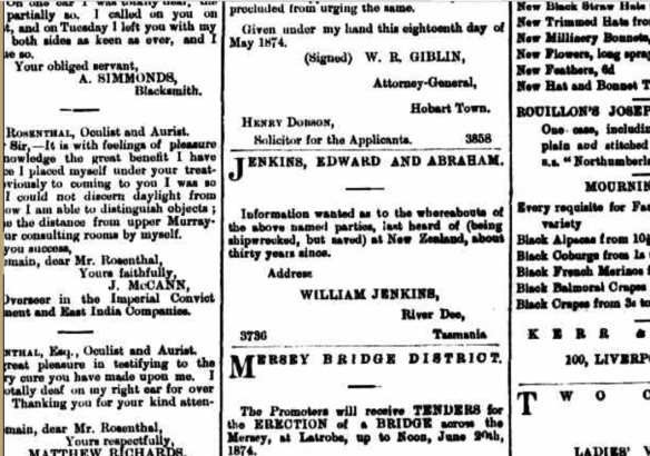 William Jenkins’s advert in the Mercury (Hobart), week beginning 16 May 1874, p. 1 