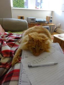 23472780_10101670139384694_6698071484734918520_n